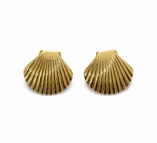 Golden Shell Glow Ribbed Stud Earrings